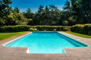 A large pool surrounded by green yard with large trees.