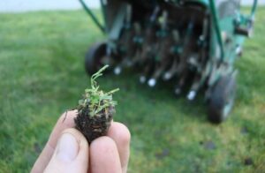lawn aeration