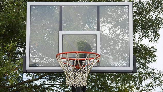 basketball goal web