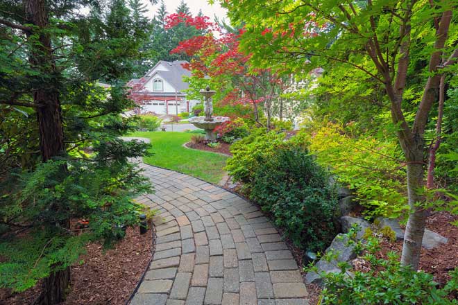Garden Walkway in Front Yard