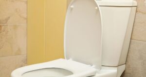 toilet